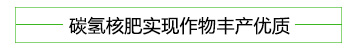 碳氫核肥