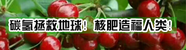 碳?xì)浜朔?碳?xì)涔夂朔?光碳核肥常識(shí)
